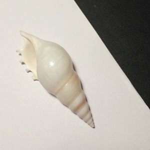 Meet your Posher, Oonagh